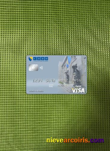 Bosnia and Herzegovina Central bank visa card photolook